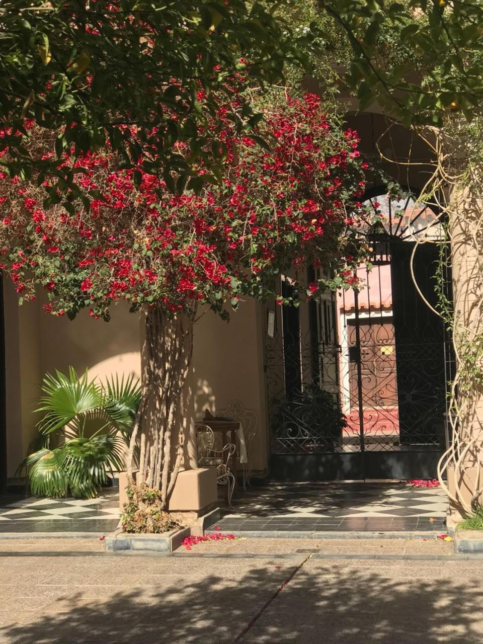 Vieja Posada Hotel Historico Cafayate Extérieur photo